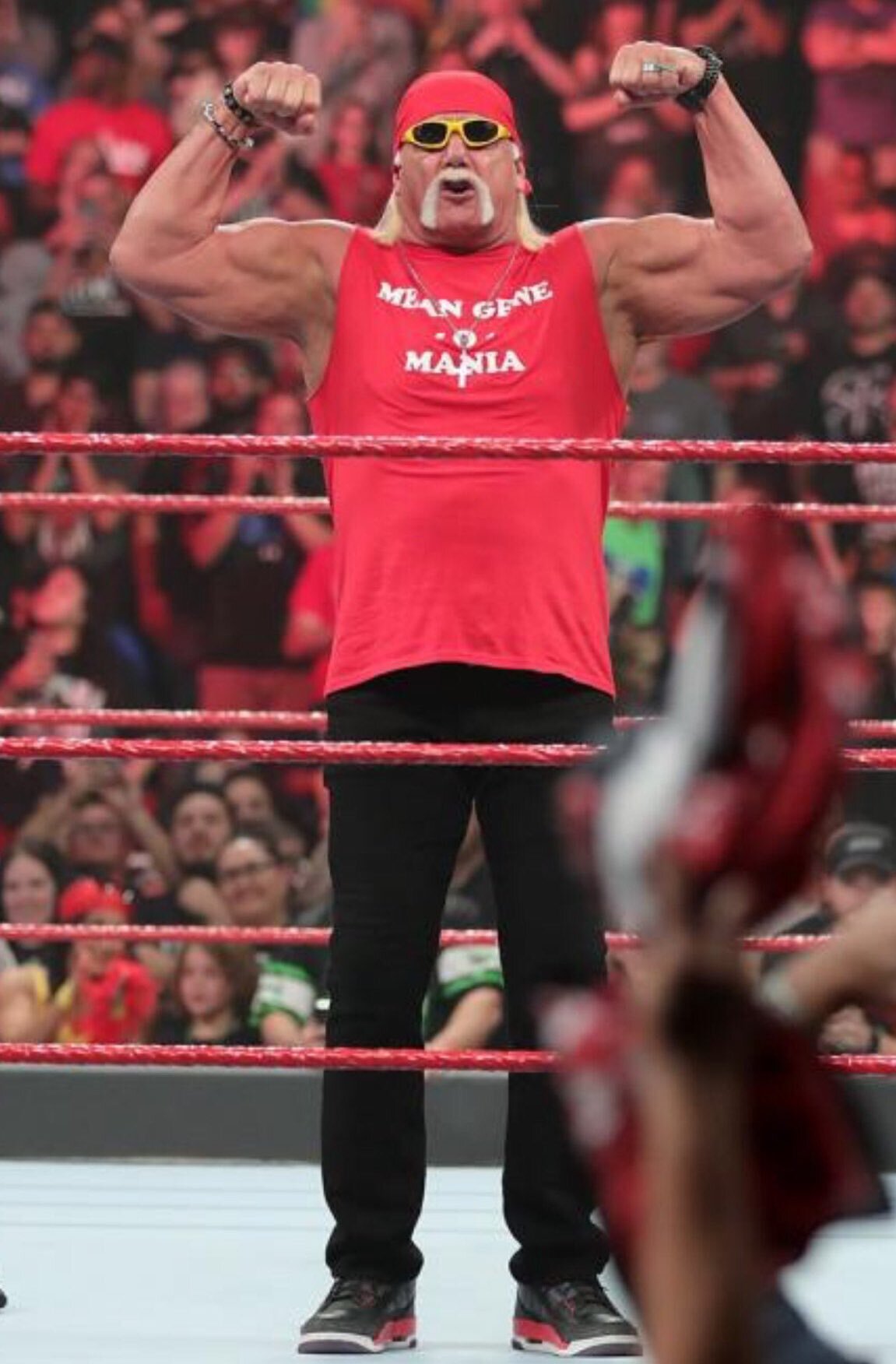 Hogan 02