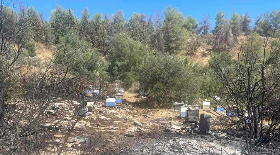 Υμηττός: Τι προκάλεσε τη φωτιά στην Πολυτεχνειούπολη
