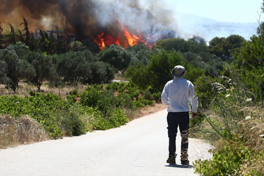 Φωτιά στη λεωφόρο Μαραθώνος στη Ραφήνα, ήχησε το 112