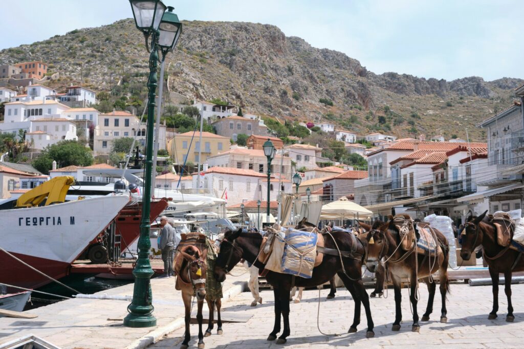 Ύδρα: Μόνο με άδεια τα οχήματα – Ποιοι εξαιρούνται, πώς γίνεται η αίτηση