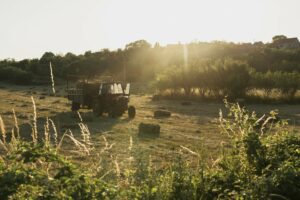 ΟΠΕΚΕΠΕ: Γιατί καθυστερούν οι πληρωμές – Τι γίνεται με τους ελέγχους