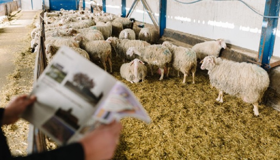 Proud Farmers: Στον “αέρα” η θερμοκοιτίδα νέων κτηνοτρόφων στη Δυτική Μακεδονία