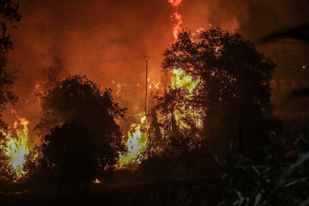 Προφυλακιστέοι κρίθηκαν 19χρονος και 27χρονος για την φωτιά στα Συχαινά Πάτρας