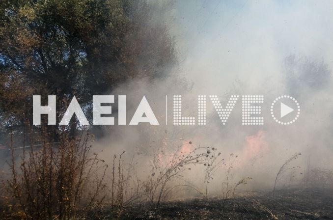 Φωτιά τώρα στα Λεχαινά Ηλείας: Εστάλη 112 για την πυρκαγιά