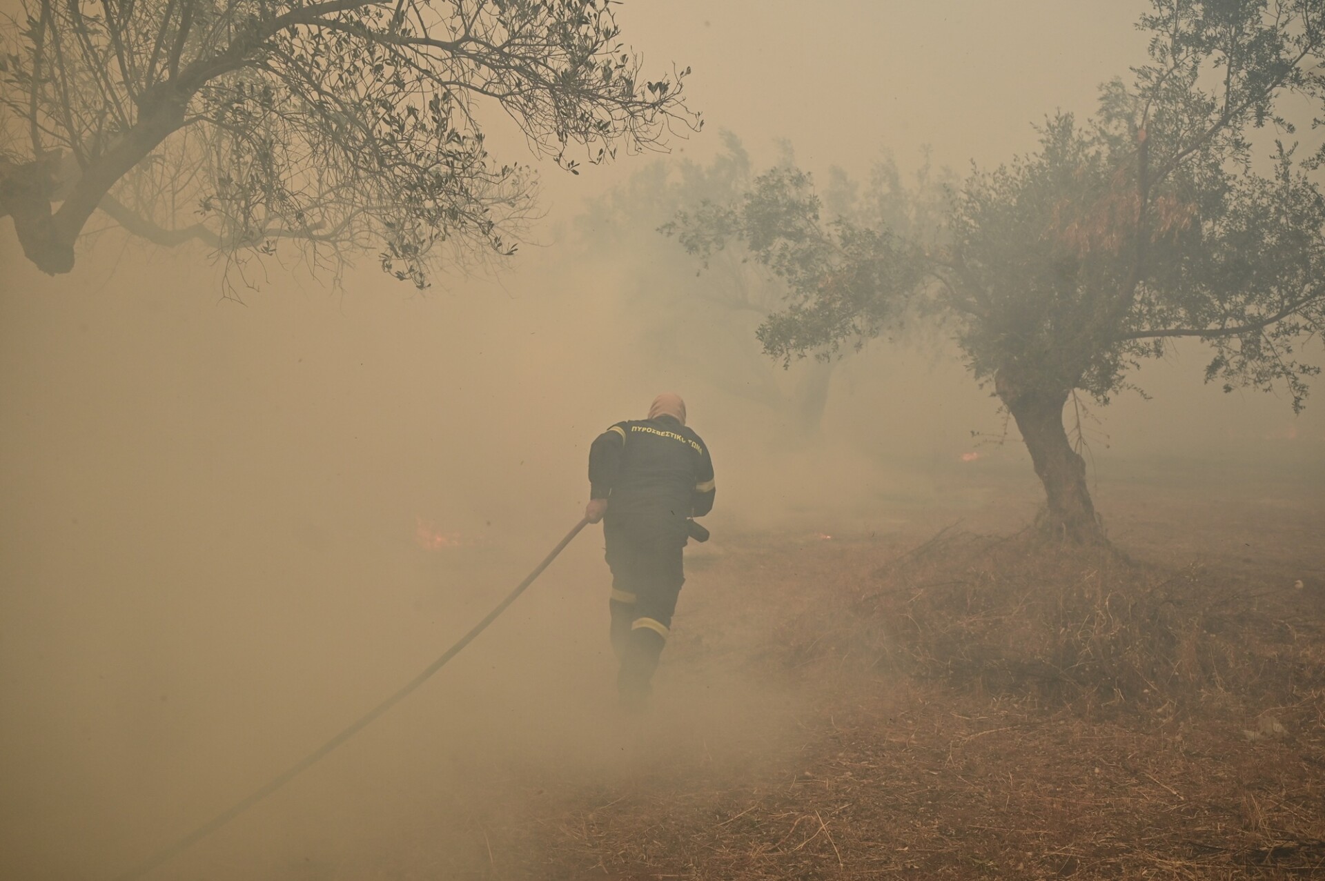 φωτια κερατεα