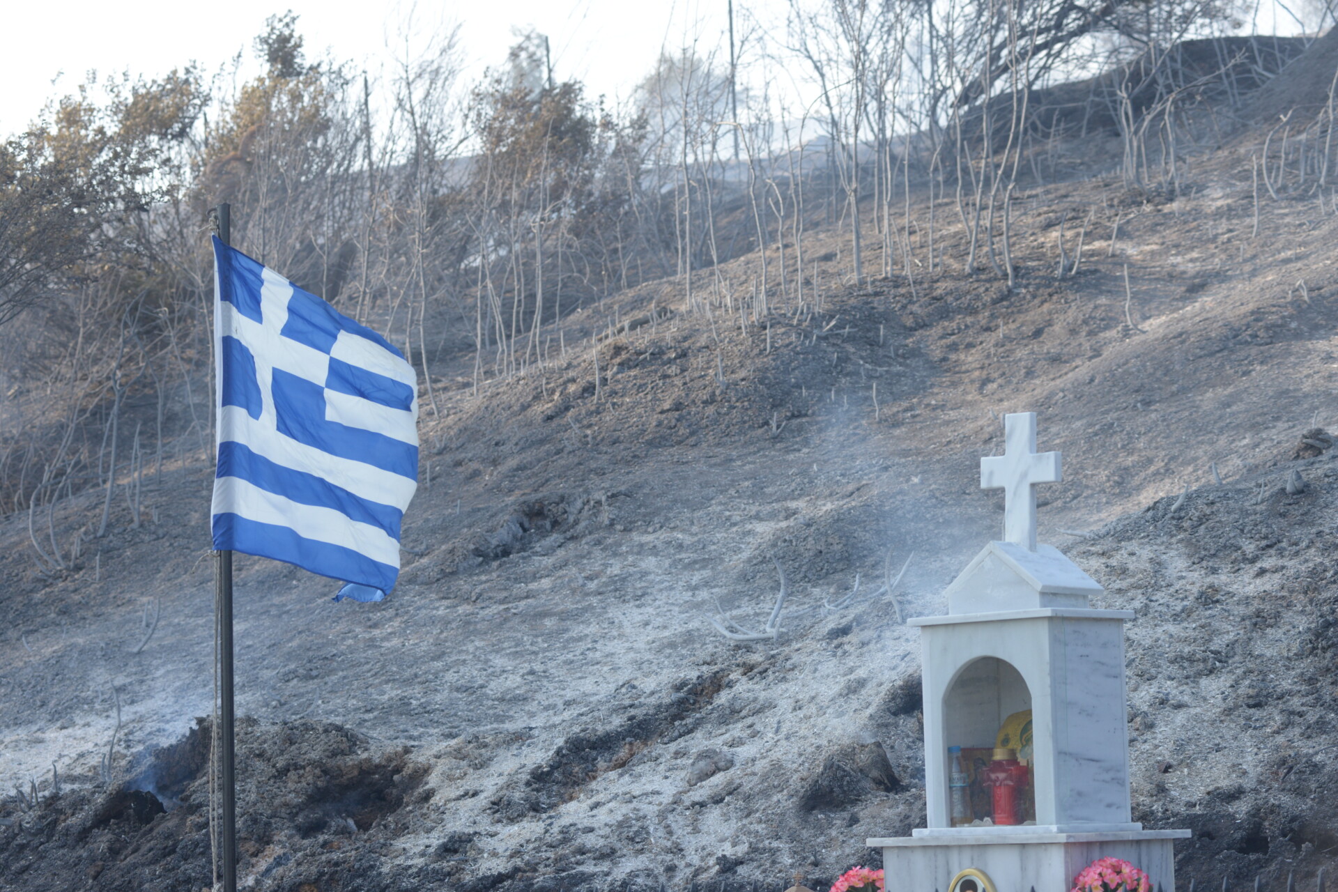 ΚΑΜΜΕΝΑ ΣΤΗΝ ΑΡΧΑΙΑ ΟΛΥΜΠΙΑ, ηλεια