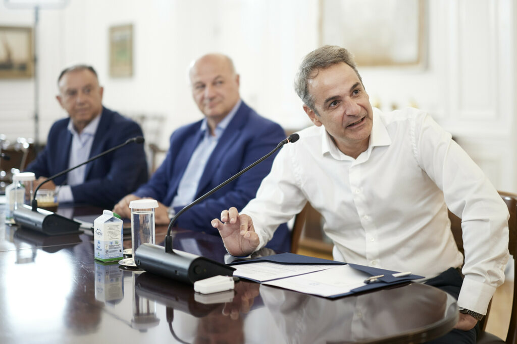 Μητσοτάκης: Τι συζητήθηκε στην τηλεδιάσκεψη για την πρωτοβουλία Αμοργόραμα