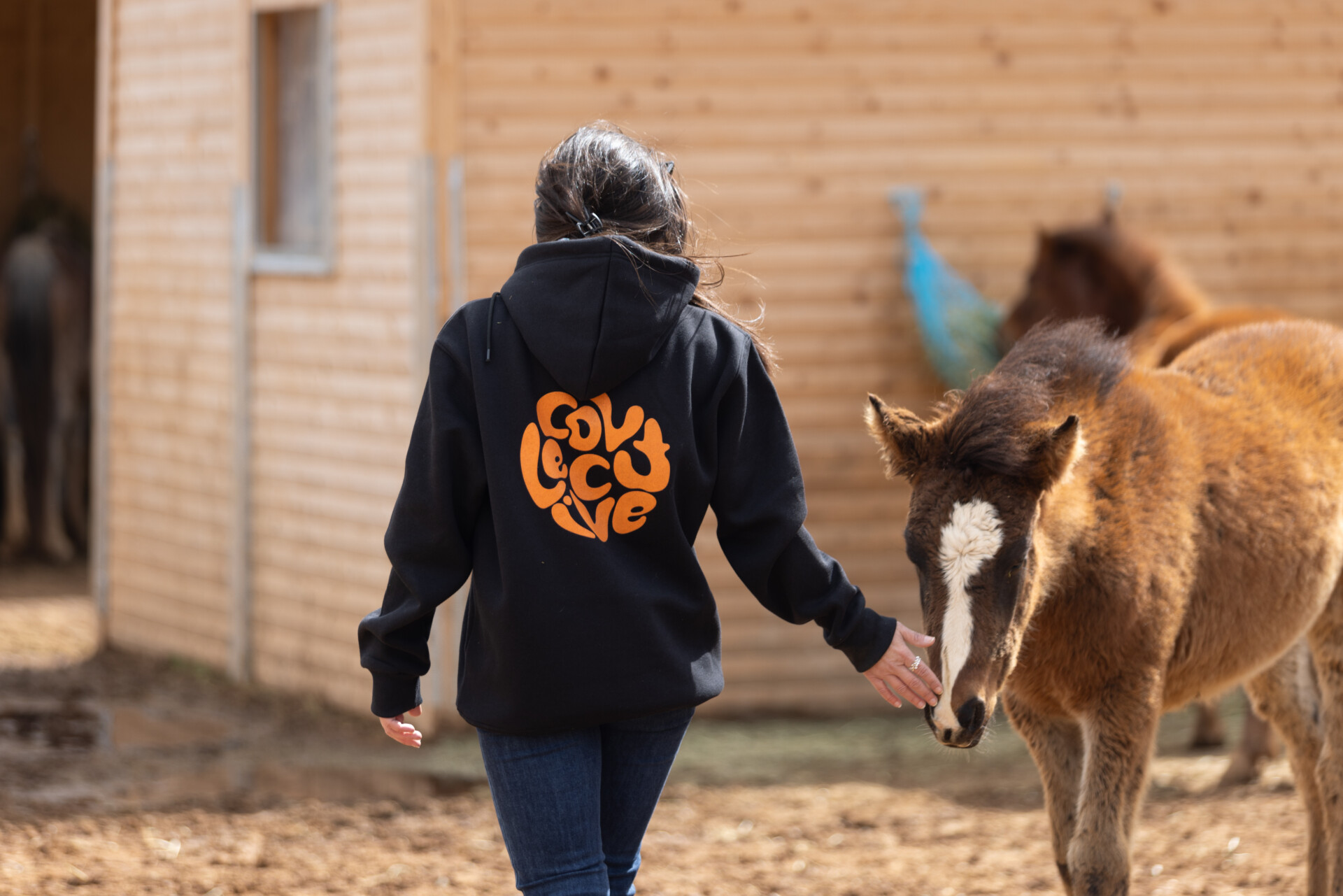 Το «The Collective» έχει υποστηρίξει τη Help Horses, που διασώζει ανεπιτήρητα άλογα στις παρυφές του Υμηττού