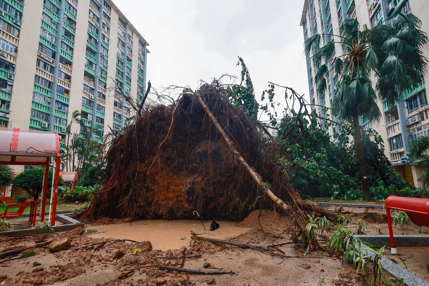 Typhoon Ragasa