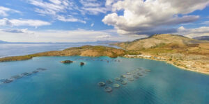 Avramar: Το colpo grosso της καναδικής Cooke για την εξαγορά του μεγαλύτερου παίκτη στις ιχθυοκαλλιέργειες