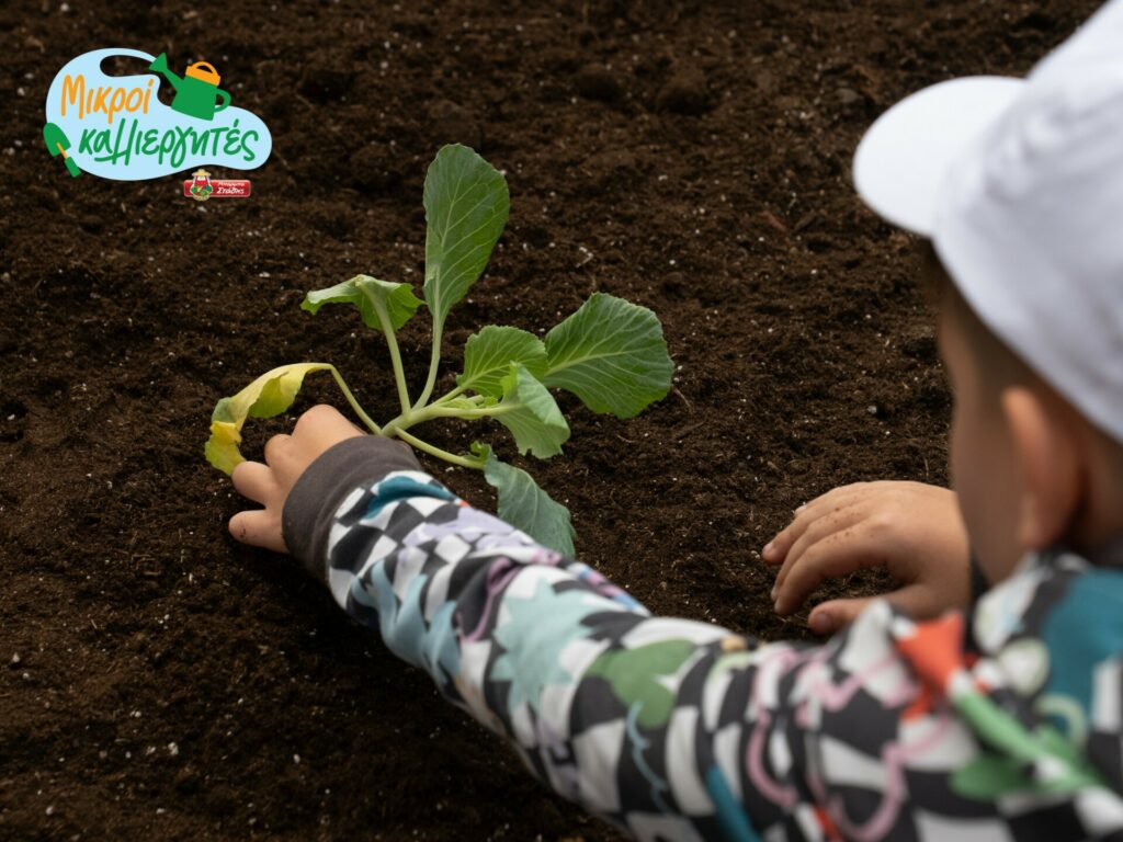 Μπάρμπα Στάθης: Νέο εκπαιδευτικό πρόγραμμα “Μικροί Καλλιεργητές”
