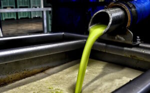 SOS για το ελαιόλαδο στη Μεσσηνία