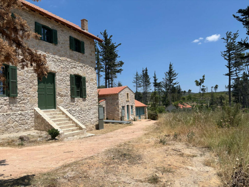 Τατόι: Στο φως πάνω από 70.000 αντικείμενα