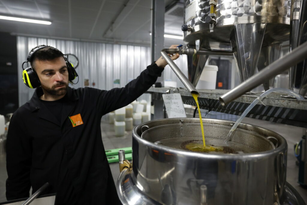 Ελαιόλαδο: Κάτω από τα 5 ευρώ η τιμή παραγωγού, έως 10 ευρώ στο ράφι