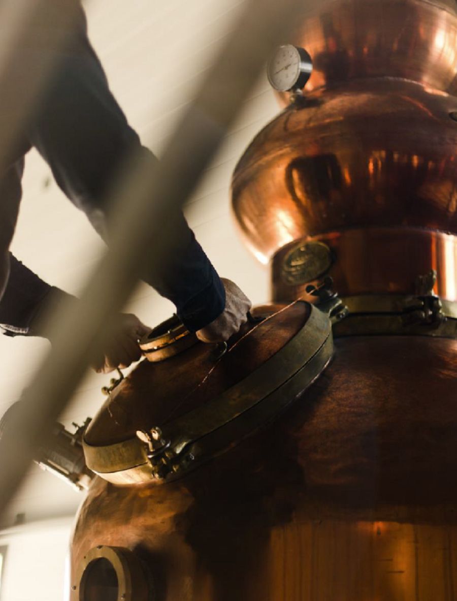 Dorodouli Distillery © ΔΤ