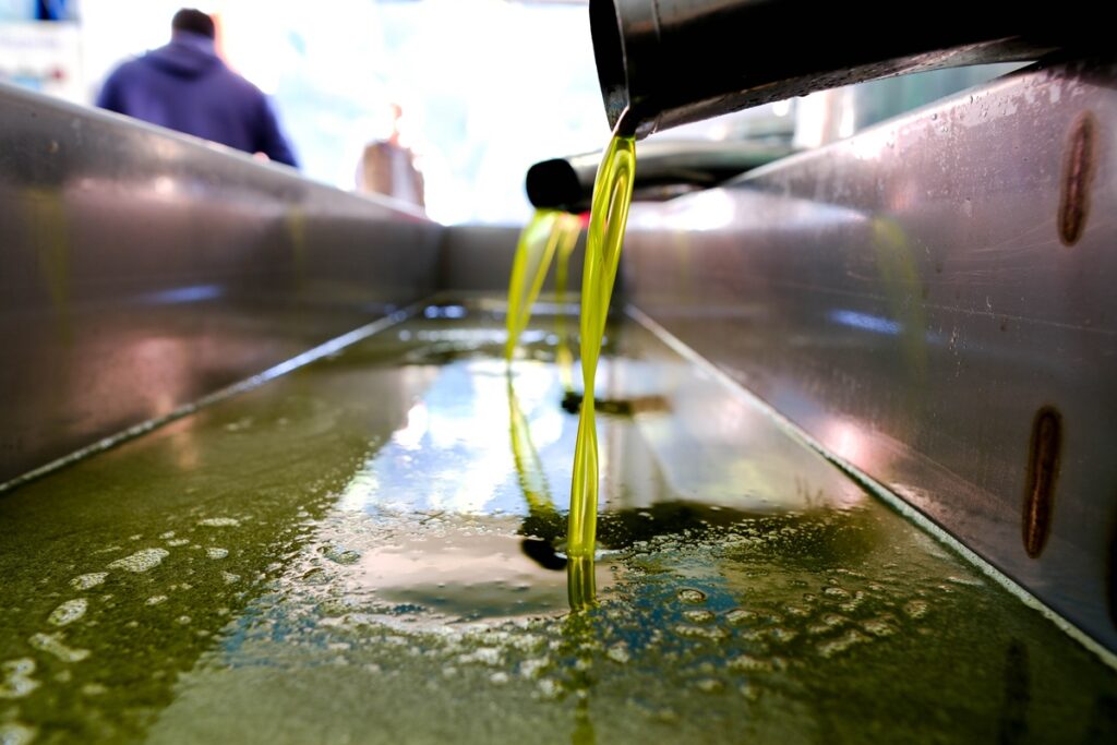 Ελαιόλαδο: Μειωμένη η φετινή παραγωγή κατά 50.000 τόνους, τι θα γίνει με τις τιμές