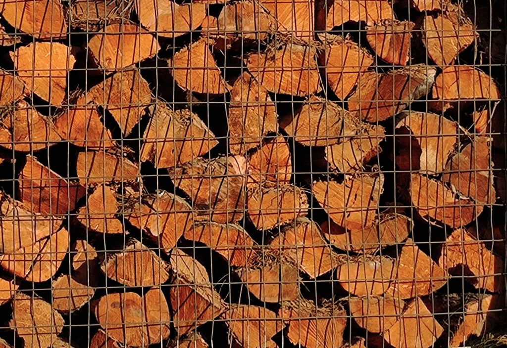 Καυσόξυλα: Ποιος Δήμος της Αττικής διανέμει δωρεάν