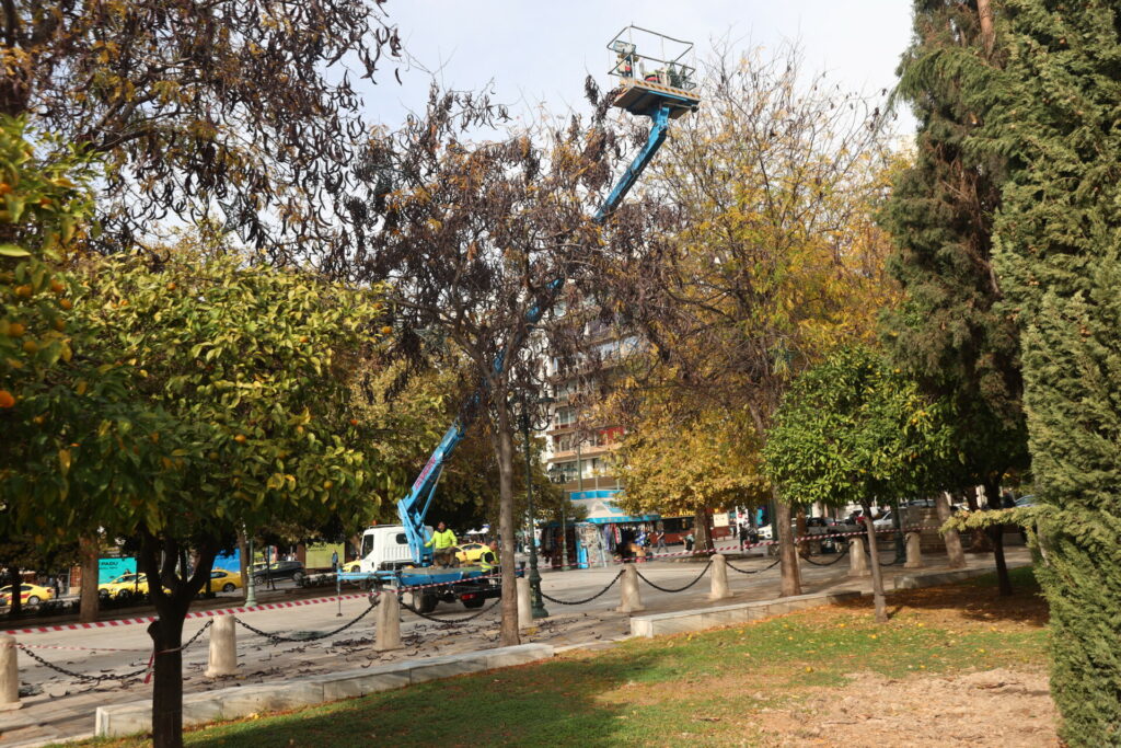Πότε ανάβει το Χριστουγεννιάτικο δέντρο στο Σύνταγμα