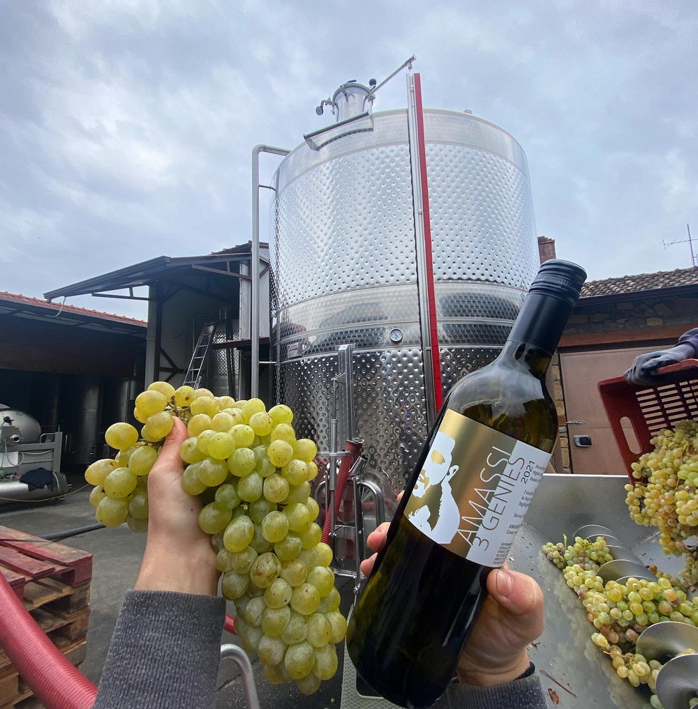 Οινοποιείο Θωμαΐδη, κρασί Αμάσσι