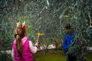 Οι Μικροί Ήρωες μαθαίνουν από την Stoiximan, συνεχίζουν να μας εμπνέουν με τις δράσεις τους και το 2026