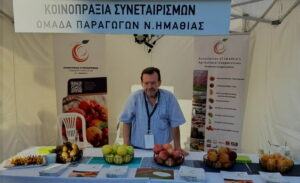 Το ελληνικό ακτινίδιο ετοιμάζεται για τις αγορές της Ιαπωνίας και του Μεξικού