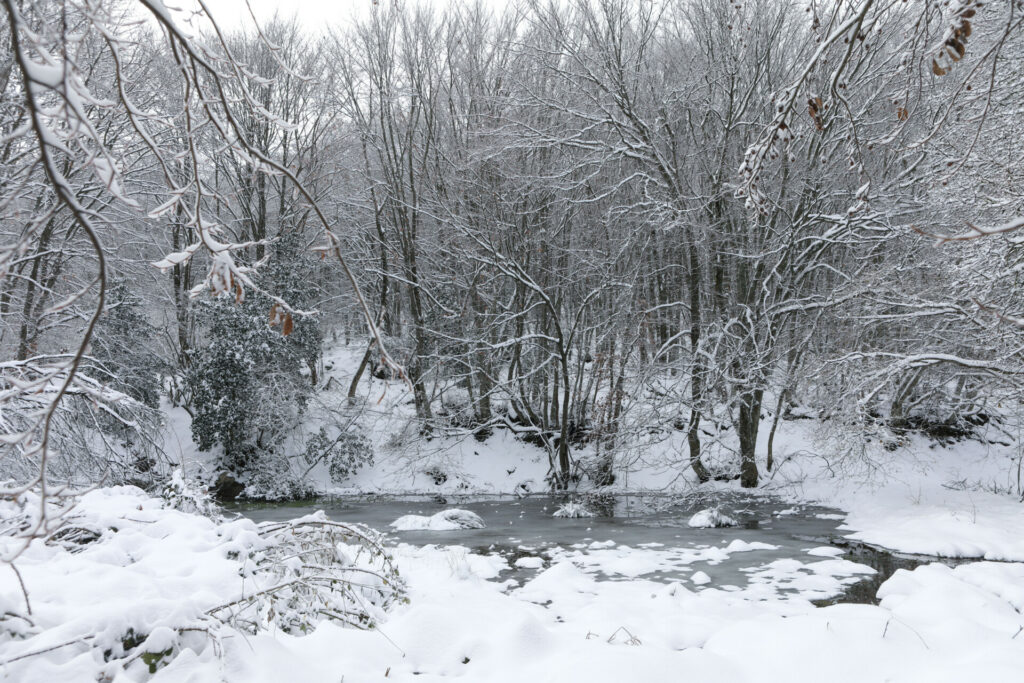 Καιρός: Έρχεται ψυχρή εισβολή, πότε και πού θα χιονίσει