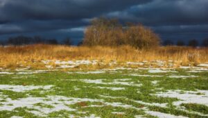 ΕΛΓΑ: Πληρωμές 6,4 εκατ. ευρώ την Παρασκευή 30/1, ποιους αφορούν