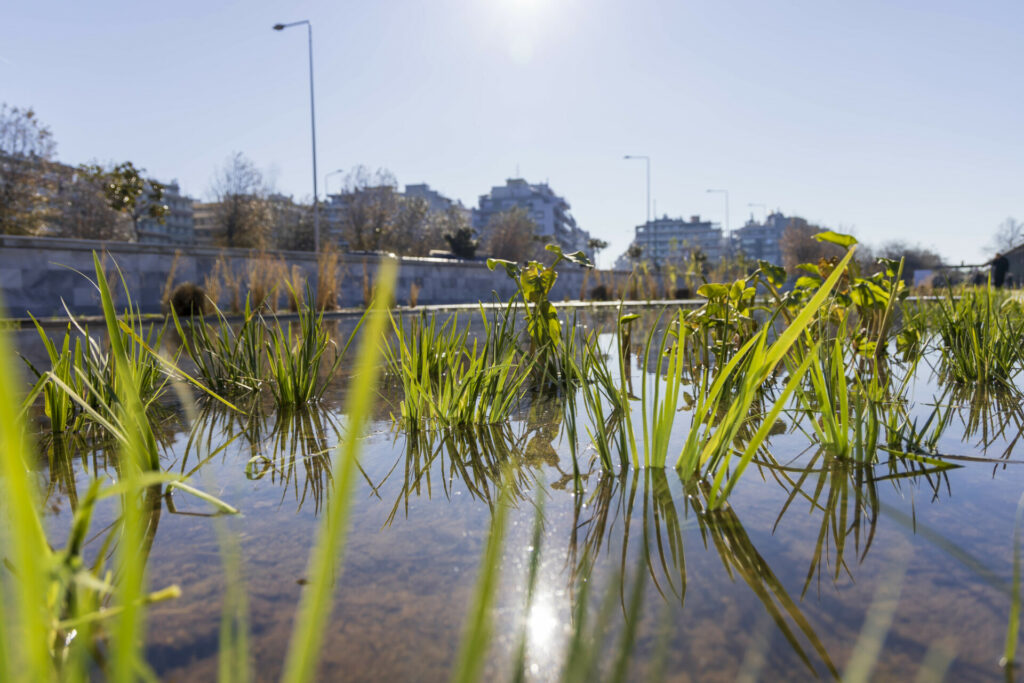 Παραδόθηκε ο αναπλασμένος Ιαπωνικός Κήπος του Νερού στη Νέα Παραλία Θεσσαλονίκης