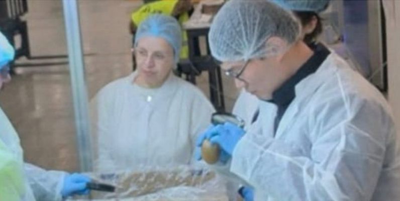 ακτινιδια εθεασ ημαθια