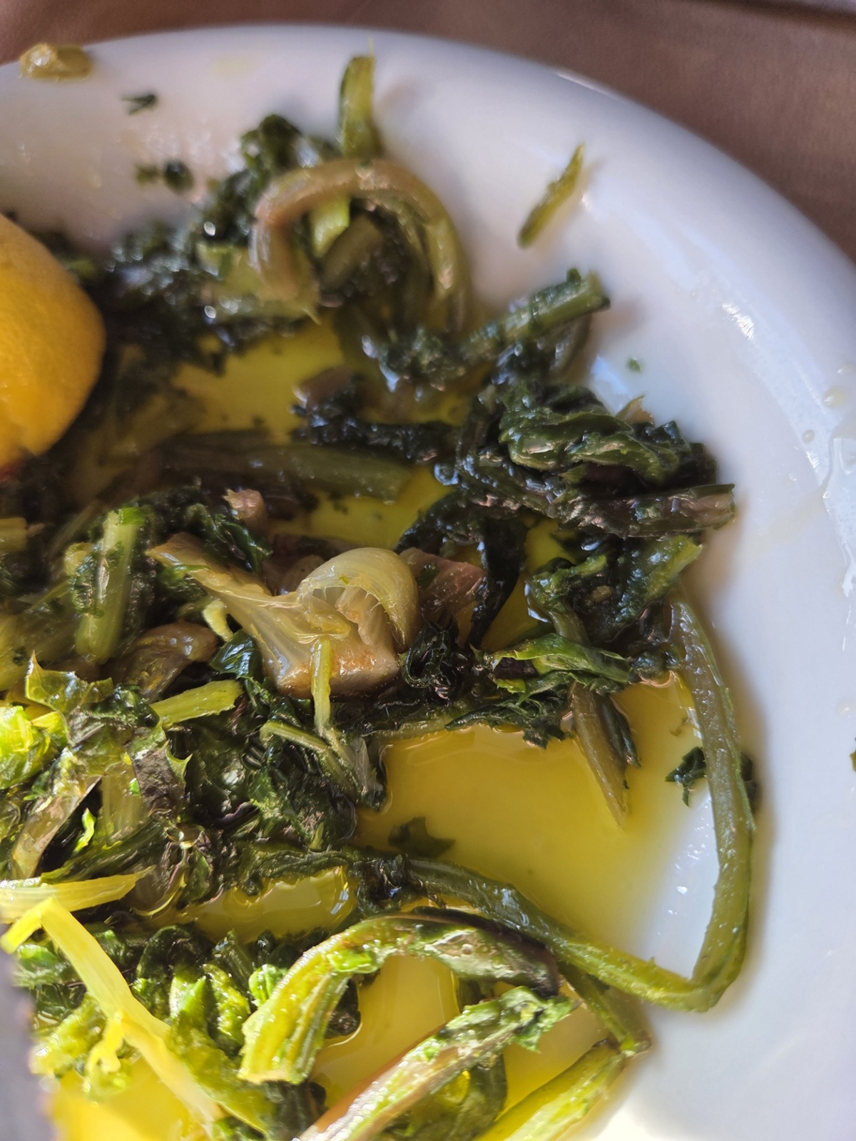 ζερζοβα ταβερνα