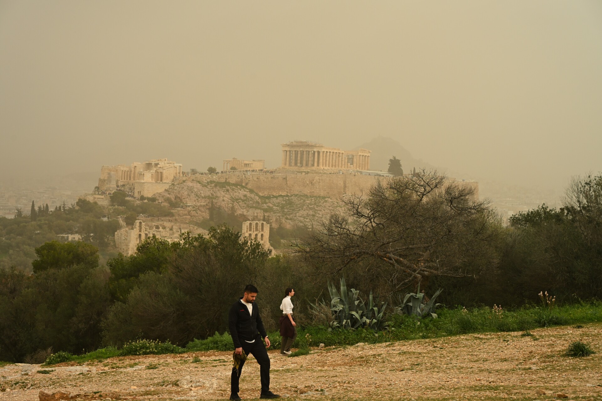 ΑΦΡΙΚΑΝΙΚΗ ΣΚΟΝΗ