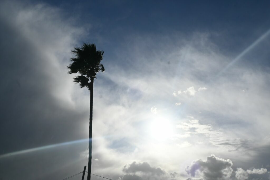 Απαγόρευση κυκλοφορίας σε Αλεξανδρούπολη και Σαμοθράκη, λόγω θυελλωδών ανέμων