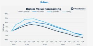 ΠΡΟΒΛΕΨΗ ΑΞΙΑΣ BULKERS