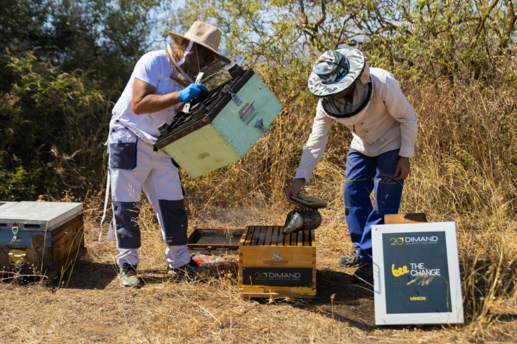 Η Dimand εγκαινιάζει την πρώτη αστική κυψέλη σε ταράτσα γραφείων στο κέντρο της Αθήνας