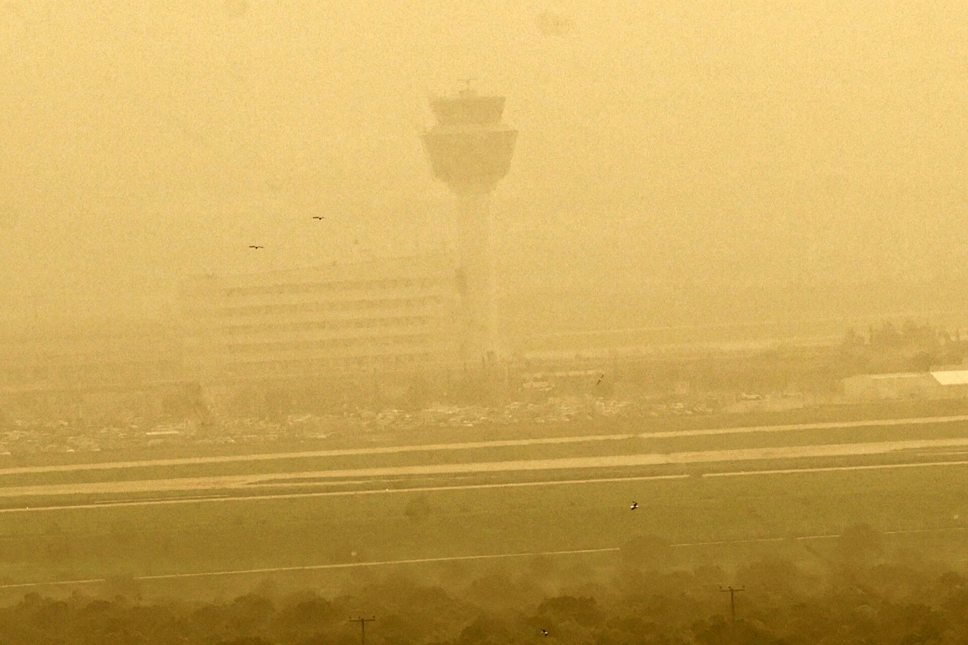 αφρικανικη σκονη