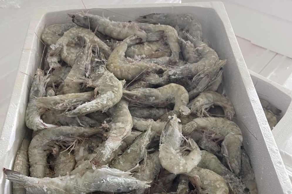 Περιφέρεια Αττικής: Νέες κατασχέσεις 5,6 τόνων ακατάλληλων τροφίμων