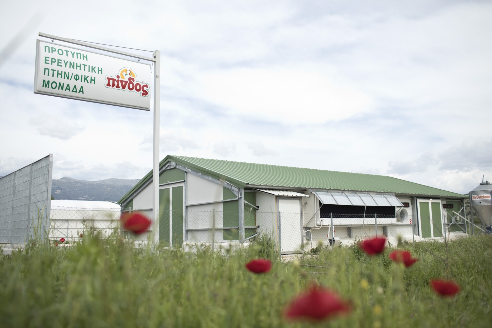 πινδοσ μοναδα