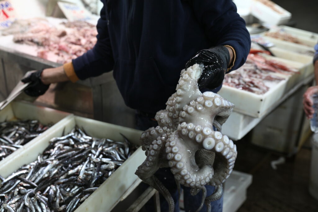 Καθαρά Δευτέρα: Τσουχτερές τιμές στα Σαρακοστιανά, πάνω από 22 ευρώ το χταπόδι