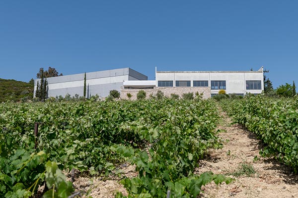 Κτήμα Σπυρόπουλος: Διαχειριστικό έλεγχο για τα πεπραγμένα της διοίκησης ζητεί ο Απόστολος Σπυρόπουλος