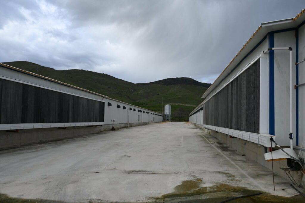 Πτηνοτροφική Μονάδα, ©«Κοτόπουλα Θεσσαλίας»