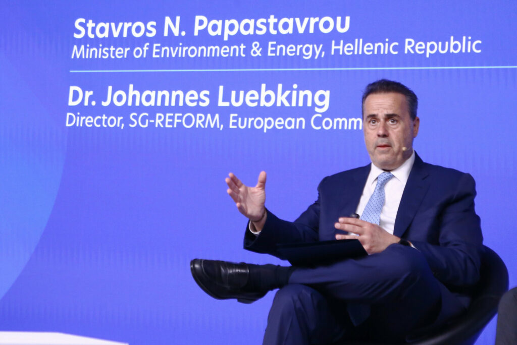 Παπασταύρου:  Το Ταμείο Ανάκαμψης αρωγός στην ενεργειακή ανθεκτικότητα