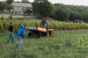 ΑΑΔΕ: Άνοιξε η πλατφόρμα για επιστροφή ΦΠΑ στους 121.000 αγρότες ειδικού καθεστώτος, η προθεσμία