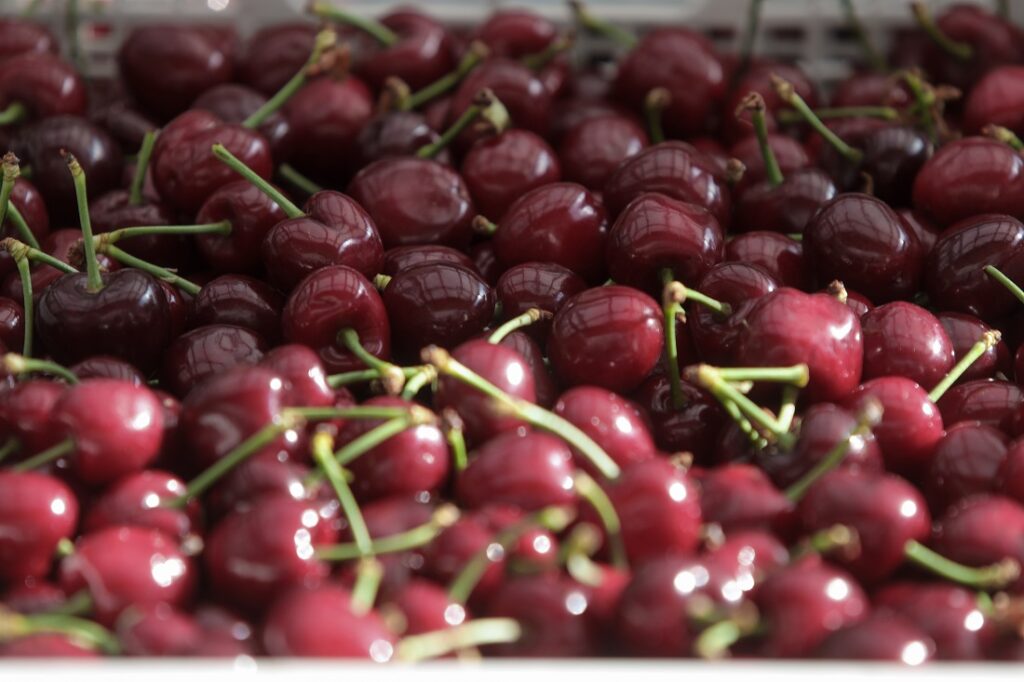 Κεράσι: Πόσα πληρώνει ο Ευρωπαίος καταναλωτής για το φρούτο με την υψηλότερη τιμή στον Έλληνα παραγωγό