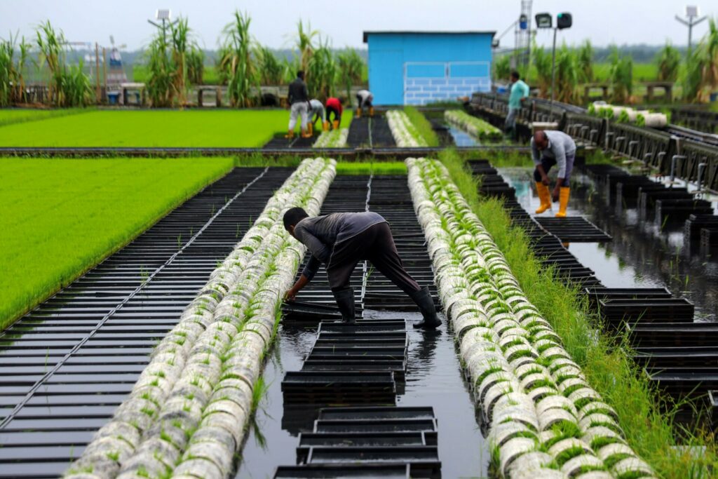 Ασφυξία στην παγκόσμια προσφορά λιπασμάτων προκαλεί ο πόλεμος στο Ιράν