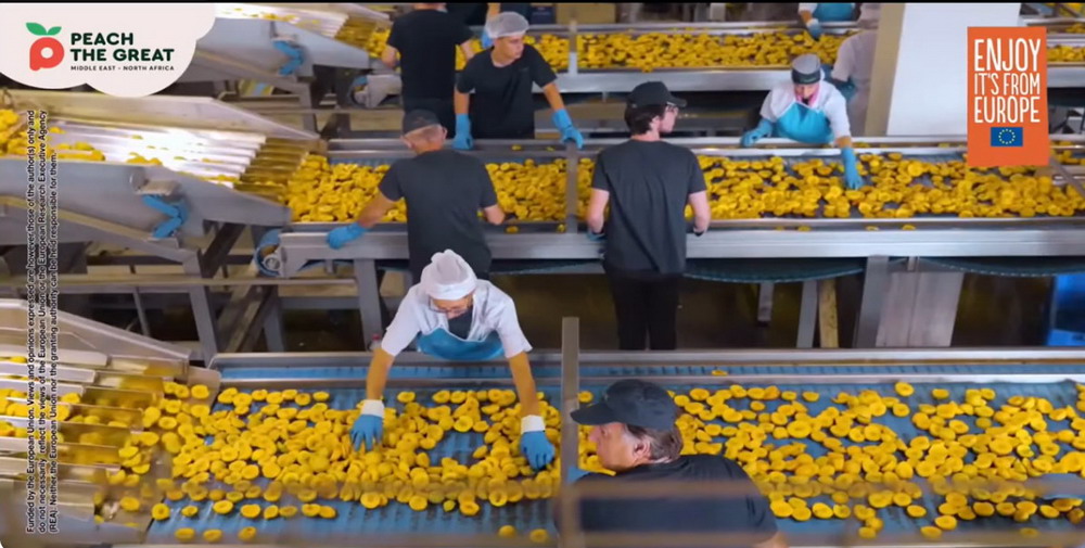 παραγωγή κομπόστας ροδάκινου©peach_the_great