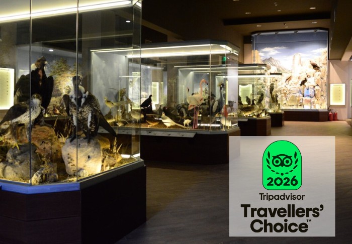 Διεθνής αναγνώριση για το Μουσείο Φυσικής Ιστορίας Μετεώρων και Μουσείο Μανιταριών