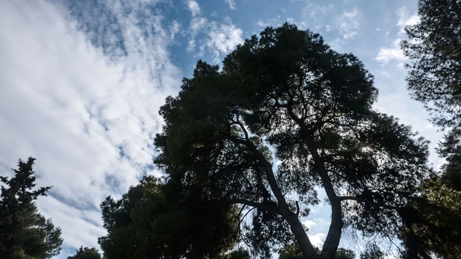 Τριήμερο Αγίου Πνεύματος: Τι καιρό θα έχει
