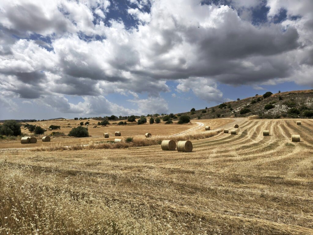 Η ΕΕ επιταχύνει τη μετάβαση στη βιολογική γεωργία, “πράσινη” έως το 2030