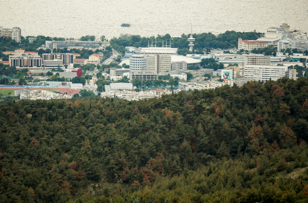 ΔΕΔΔΗΕ: Μεγάλο έργο υπογειοποίησης γραμμών, άνω των 8 εκατ. στο δάσος Σέιχ Σου