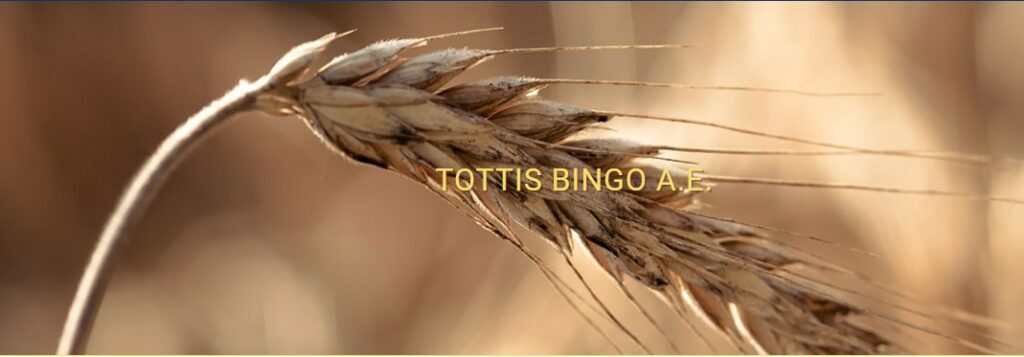 Πρόστιμο 309.00 ευρώ στην Tottis Bingo για υπέρβαση περιθωρίου κέρδους